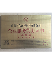 证书31